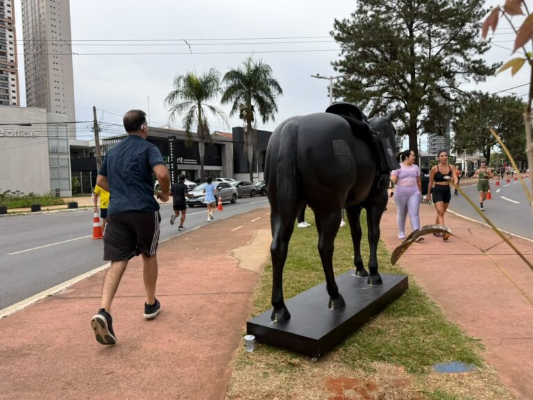 Cavalos tomam conta de Goiânia e reforçam a força do universo equestre na capital