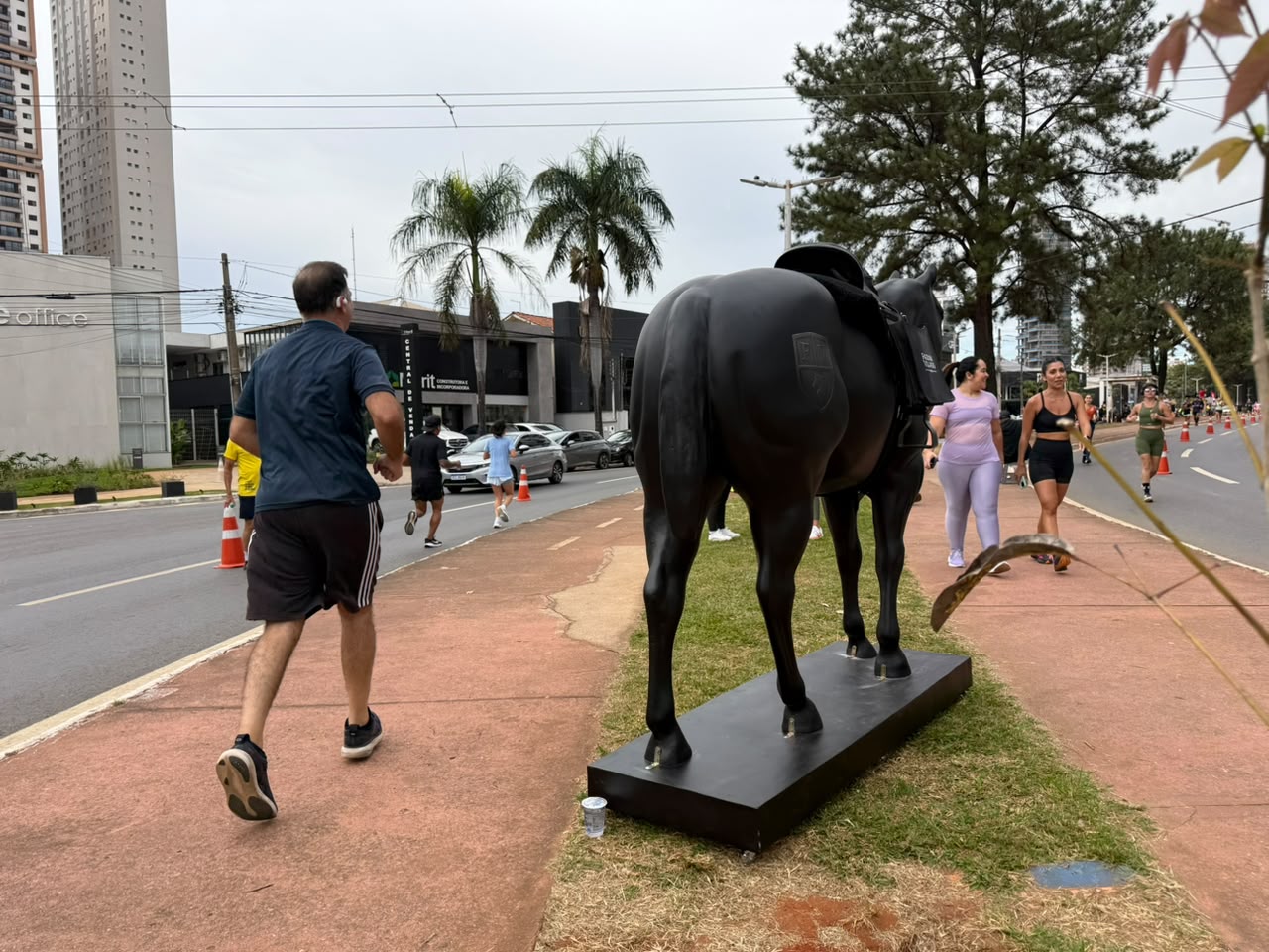 Cavalos tomam conta de Goiânia e reforçam a força do universo equestre na capital