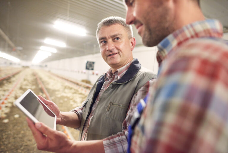 Novo MBA Global em Agronegócio conecta Brasil, Europa e África