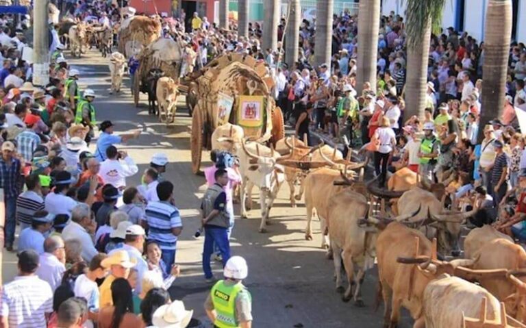 Festa de Trindade movimenta economia e reforça força do turismo religioso em Goiás