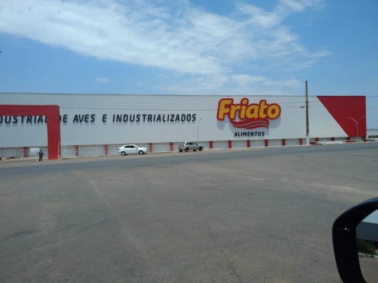 Exportações de carne de frango fecham primeiro semestre com recorde histórico em volume e receita