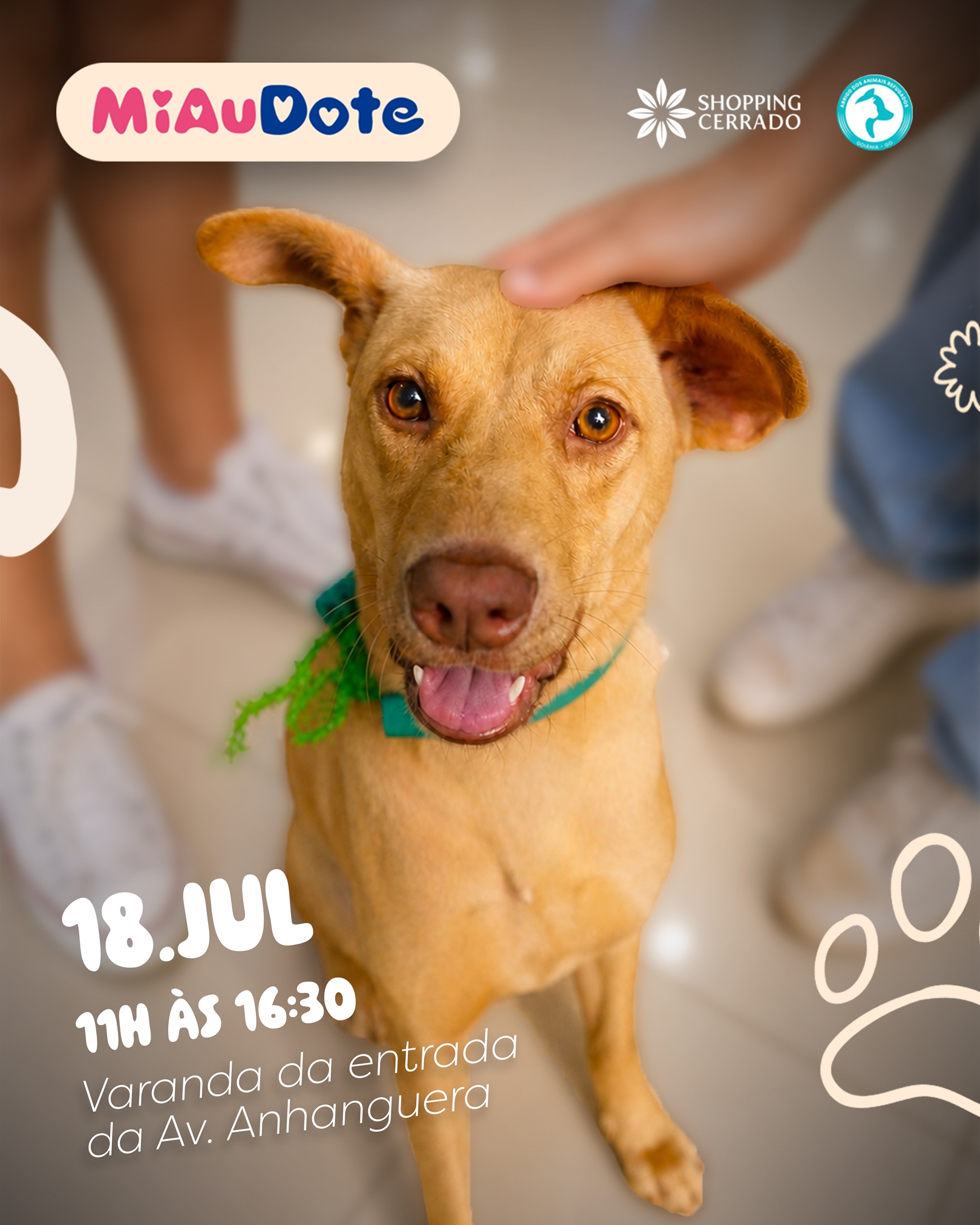 Shopping Cerrado promove feira de adoção responsável de cães e gatos neste sábado, em Goiânia.