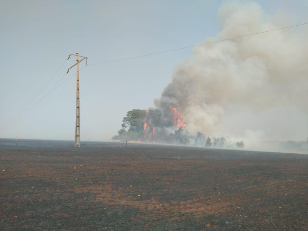 Queimadas colocam fornecimento de energia em risco durante período de estiagem em Goiás