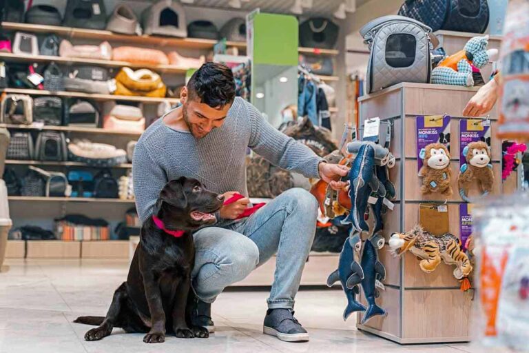 Férias escolares impulsionam mercado pet e ampliam oportunidades para empreendedores!