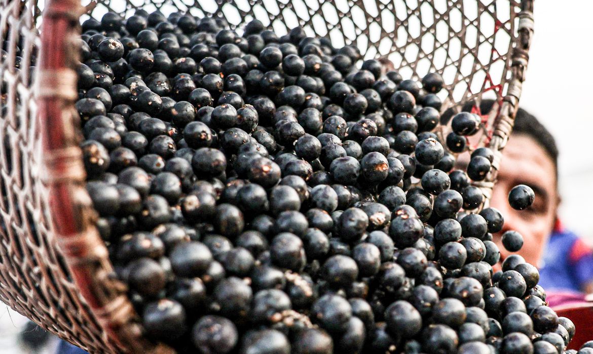 China facilita exportação de polpas e frutas congeladas brasileiras
