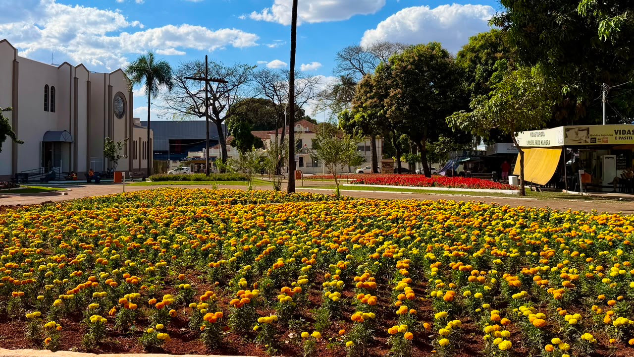 Comurg adota plano específico para manter canteiros floridos em meses de estiagem