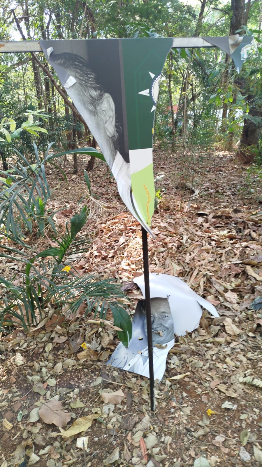 Vândalos destroem placas da recém inaugurada trilha ambiental Bariani Ortêncio, no Bosque dos Buritis