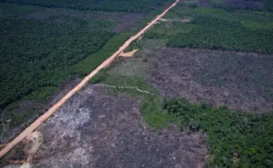 Lula quer mostrar a Trump números de queda do desmatamento na Amazônia