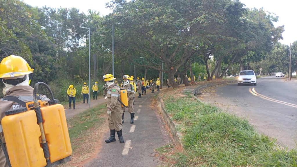 Prefeitura de Goiânia reforça ações de prevenção às queimadas e capacita forma primeira brigada municipal de incêndios