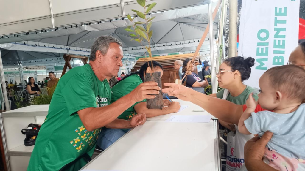 Prefeitura de Goiânia promove castração, recolhimento de pneus e doação de mudas no mutirão da Região Leste