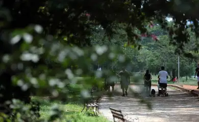Saiba quais são as atribuições dos governadores e vice-governadores
