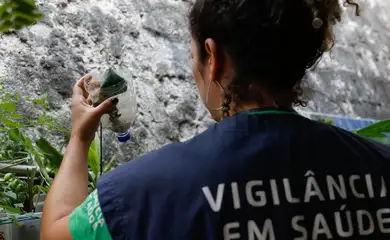 Cidades do noroeste de SP têm maior incidência de casos de dengue