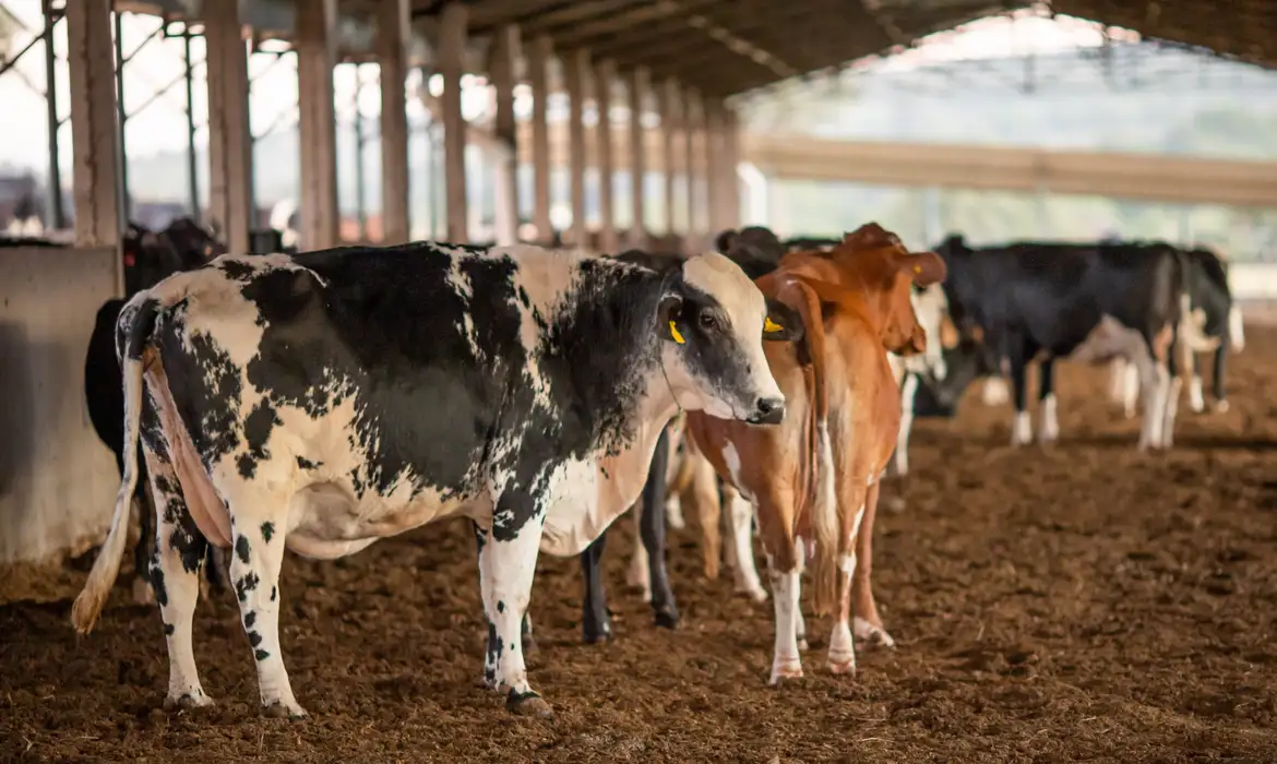 UE suspende carnes do Brasil; entenda impacto e próximos passos