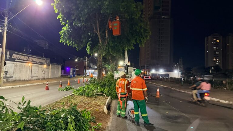 Comurg intensifica poda de jamelões em avenidas de Goiânia durante período chuvoso