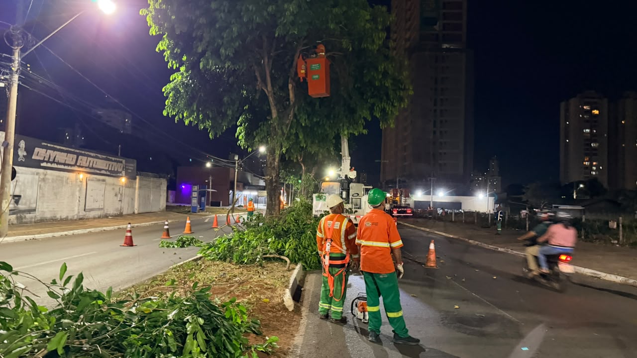 Comurg intensifica poda de jamelões em avenidas de Goiânia durante período chuvoso