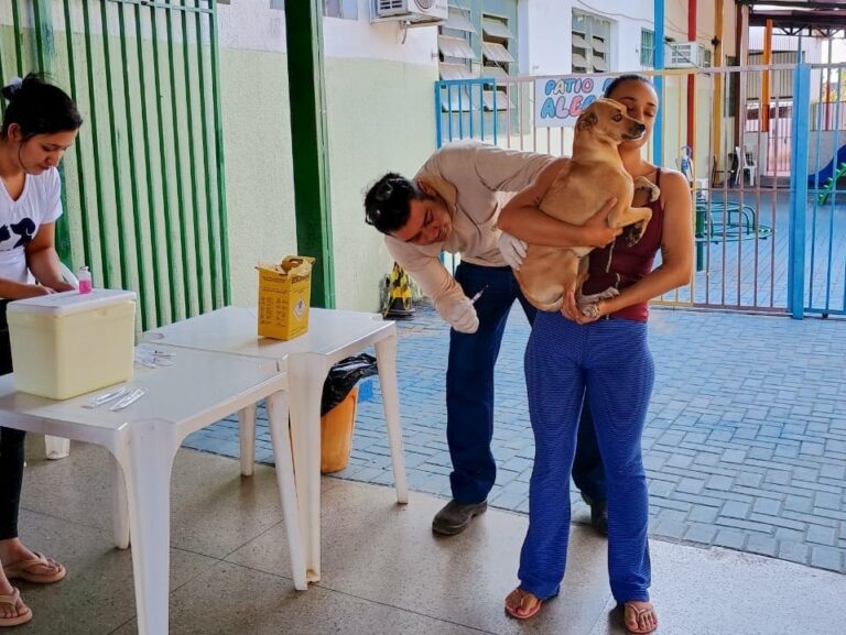 Prefeitura realiza campanha de vacinação antirrábica neste sábado (12/9) com mais de 160 pontos da capital