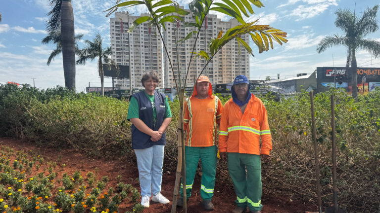 Vice-prefeita acompanha início do plantio de 40 mil mudas ornamentais em Goiânia