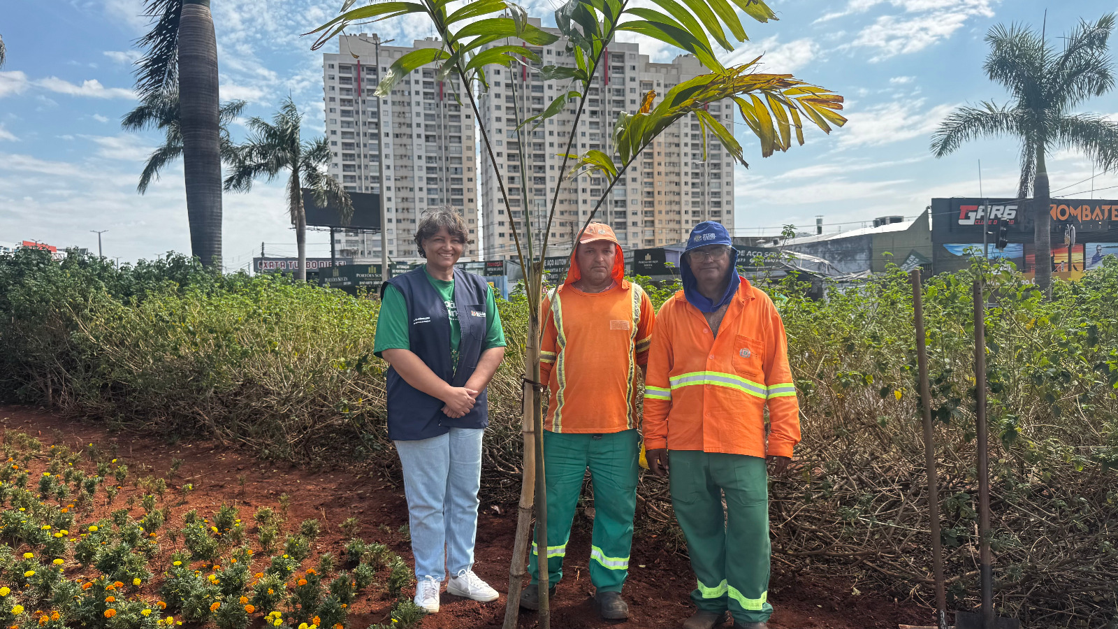 Vice-prefeita acompanha início do plantio de 40 mil mudas ornamentais em Goiânia