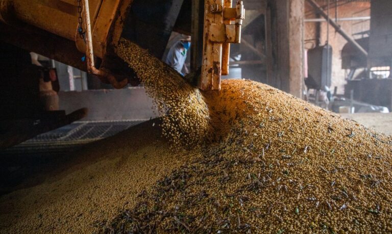 Produção brasileira de grãos deve aumentar apesar do El Niño