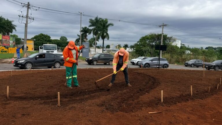Comurg inicia plantio ornamental na rotatória do Hugol