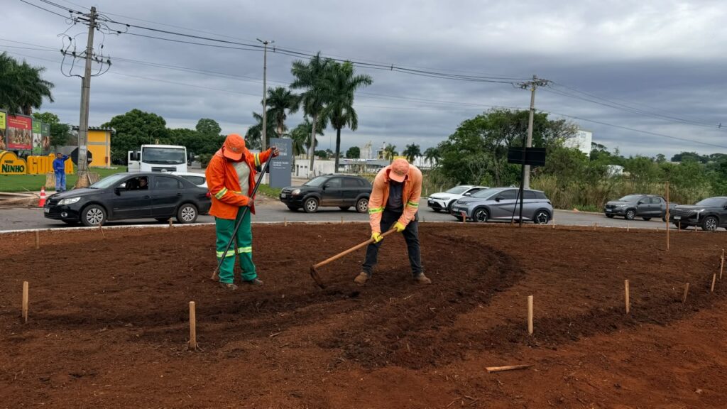 Comurg inicia plantio ornamental na rotatória do Hugol